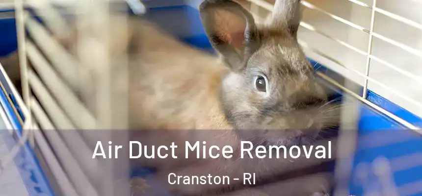 Air Duct Mice Removal Cranston - RI