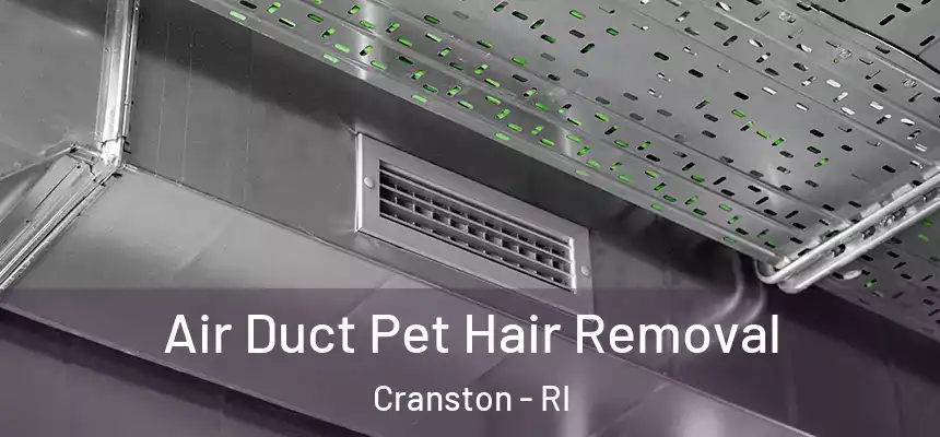 Air Duct Pet Hair Removal Cranston - RI