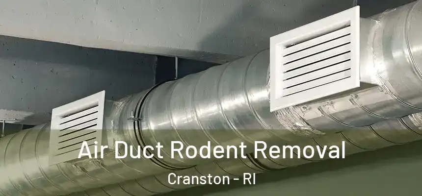  Air Duct Rodent Removal Cranston - RI