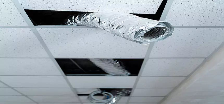 Affordable HVAC Sanitizing After Pest Removal in Cranston