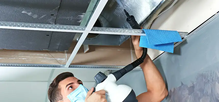 Our Air Duct Rodent Removal Services in Cranston, RI