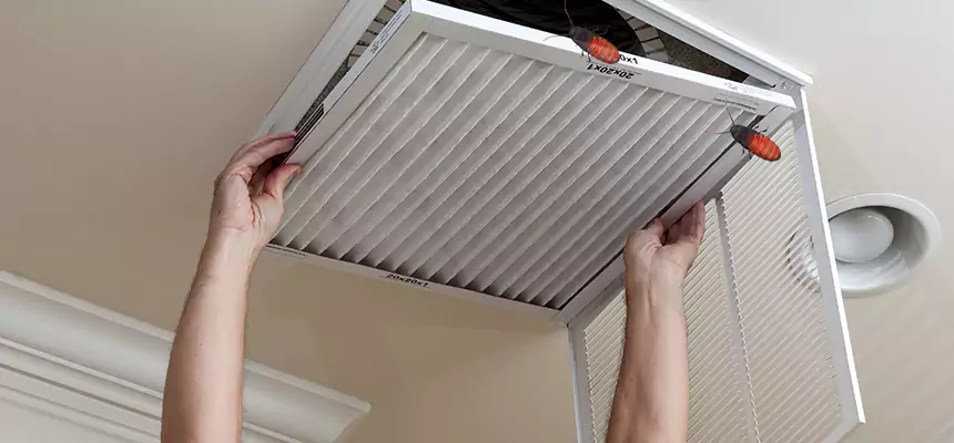 Our Insect Removal from Air Ducts Services in Cranston, RI