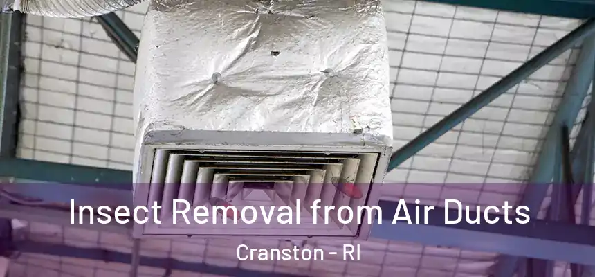 Insect Removal from Air Ducts Cranston - RI