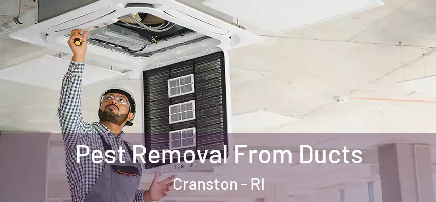  Pest Removal From Ducts Cranston - RI