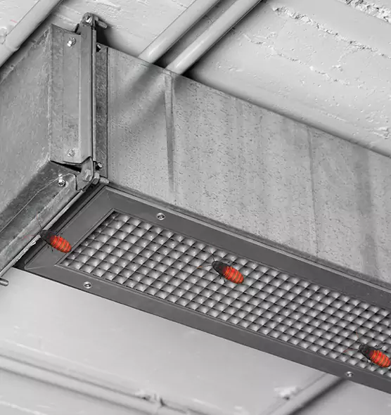 About Air Duct Cockroach Removal in Cranston, RI