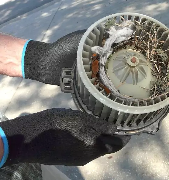 About Air Duct Mice Removal in Cranston, RI