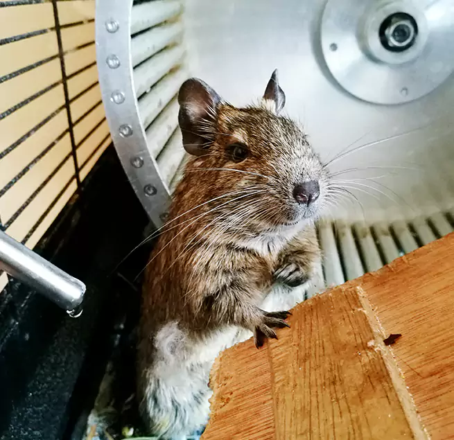 Why Homeowners & Businesses Trust Us Cranston, RI