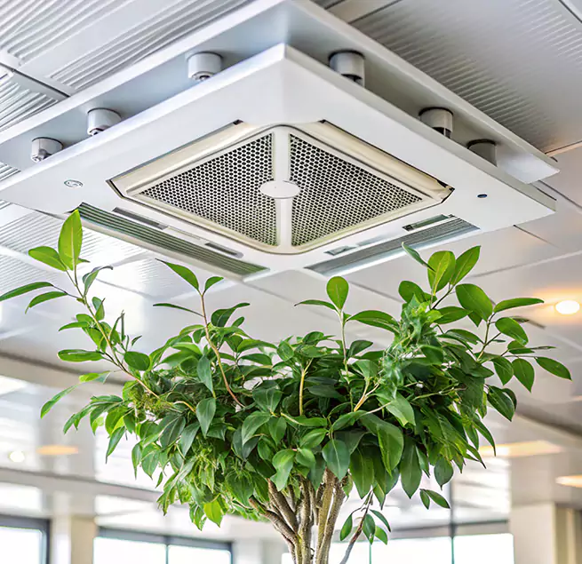 Why Homeowners & Businesses Trust Us in Cranston, RI?